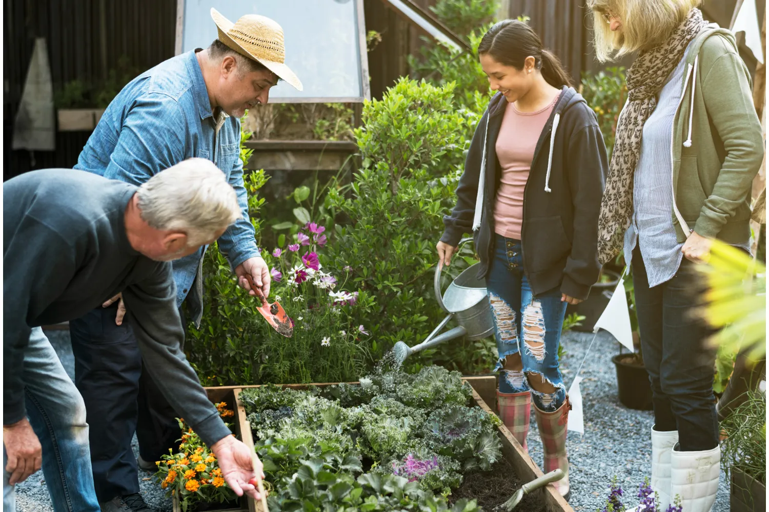 Culinary Wellness Journey
